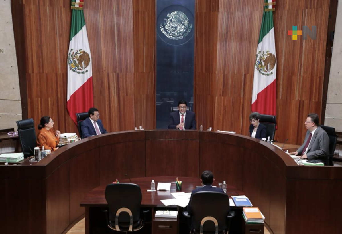 Cinco candidaturas para mujeres y cuatro para hombres, en elecciones estatales  2024: TEPJF